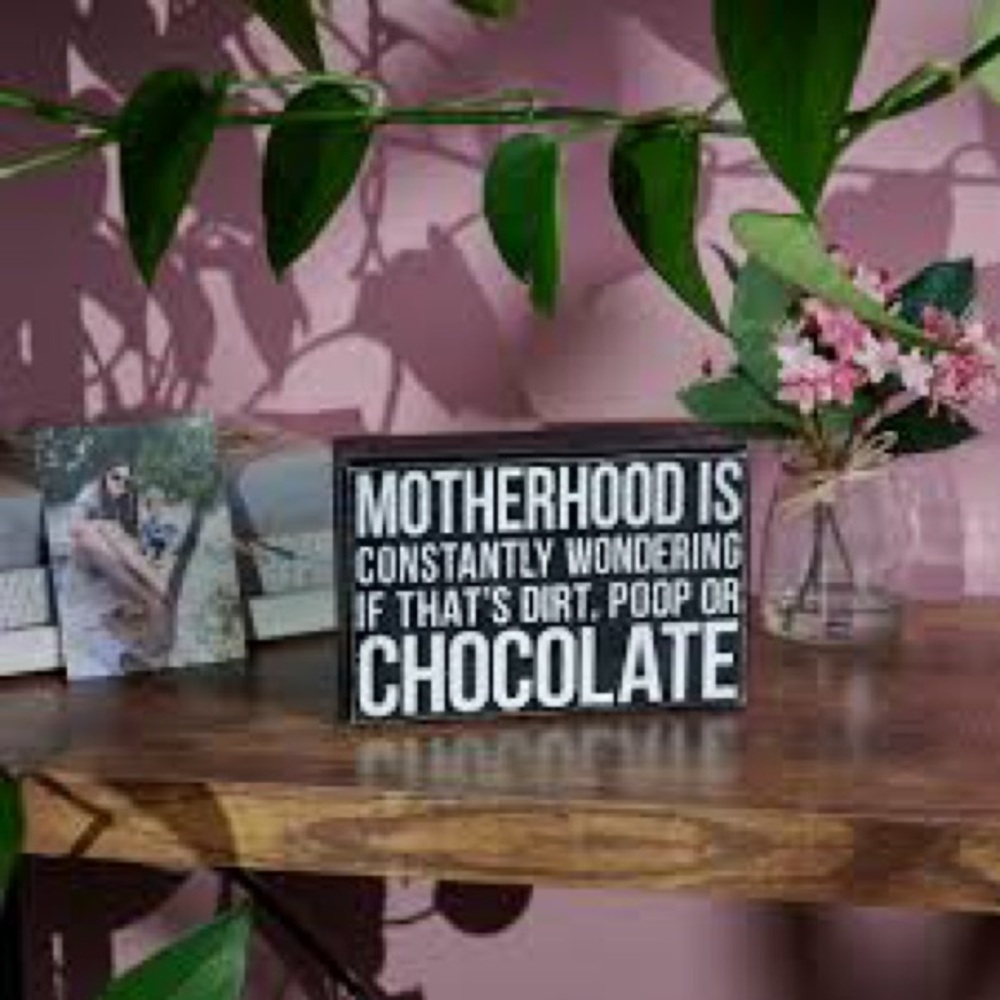 Motherhood is wondering if that’s dirt funny quote home decor 4x6 box sign